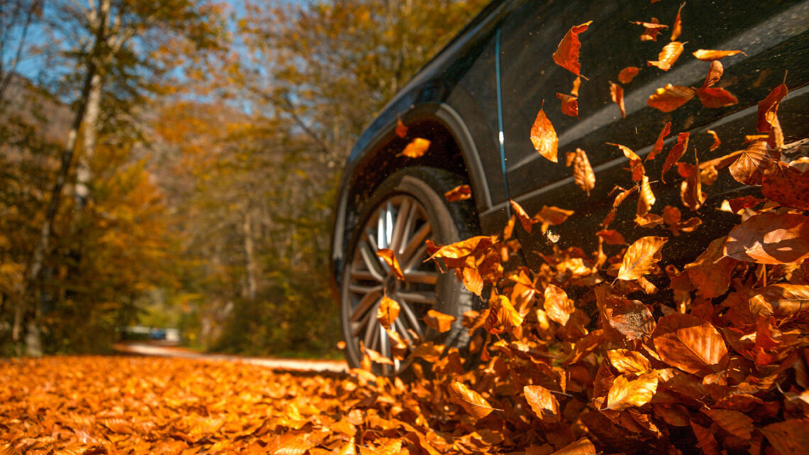 Car driving through leaves